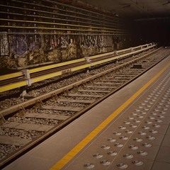 Lilies Always Come After Roses