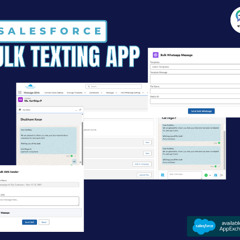 Salesforce Bulk Texting App