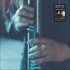 Wounded (Radio Edit)