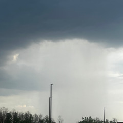 IN AND OUT OF FOG AND LIGHTS