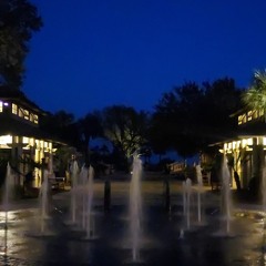 reverse playback - forensics (slowed impulse)