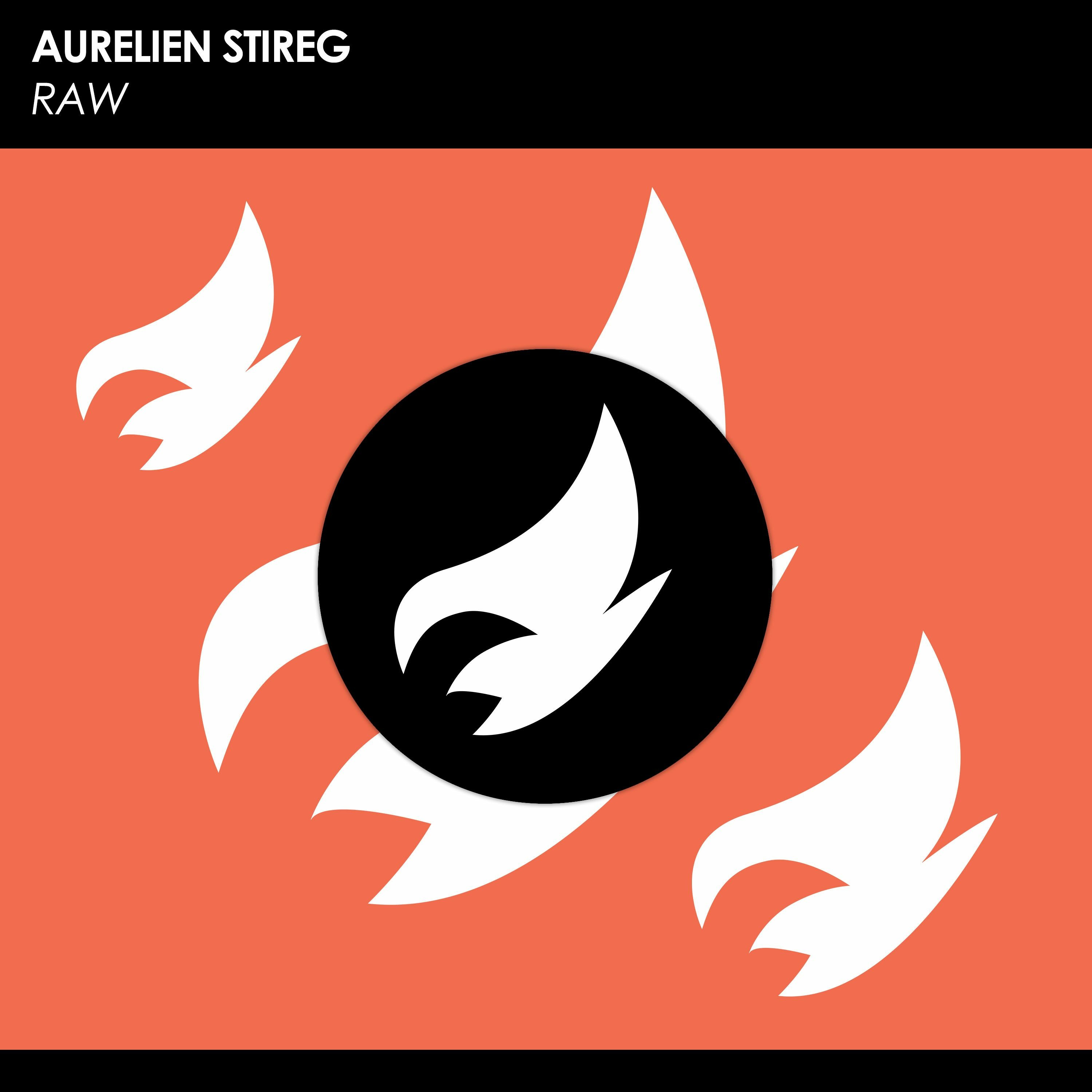 Aurelien Stireg