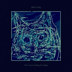 Black Twig : I Was Not Looking For Magic