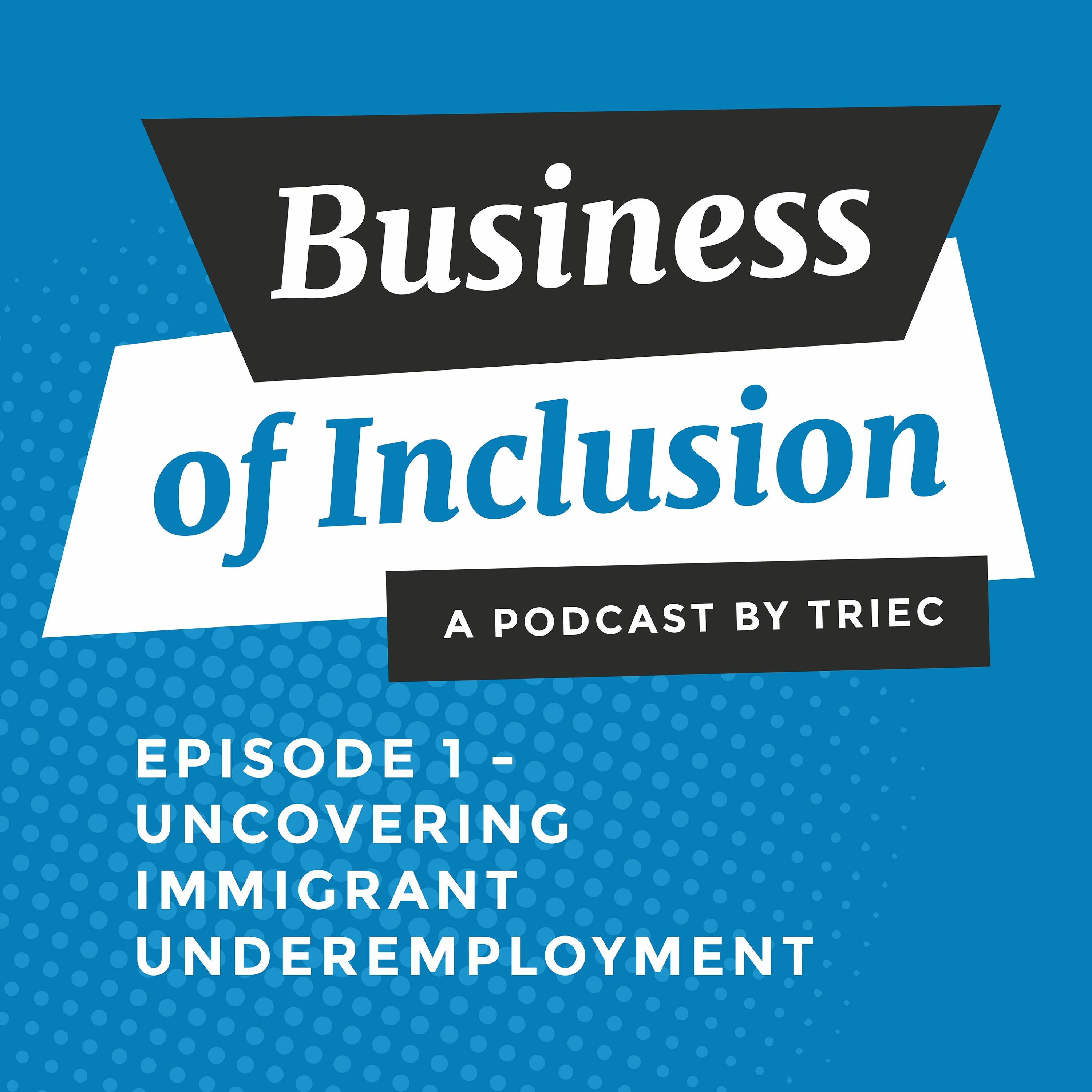 Business of Inclusion Podcast