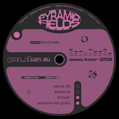 𝐇𝐔𝐑𝐅𝐂𝐋𝐔𝐒𝐈𝐕𝐄 ➟ Pulse - Persona Non Grata