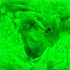 PLOMOSIDAD GLOBINADA RMXXX