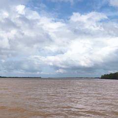 Chân Ái - Orange