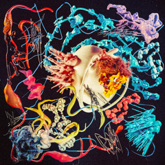 CIEL (Mona Yim Remix)