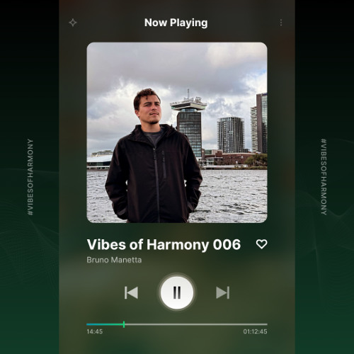 Bruno Manetta - Vibes of Harmony 006