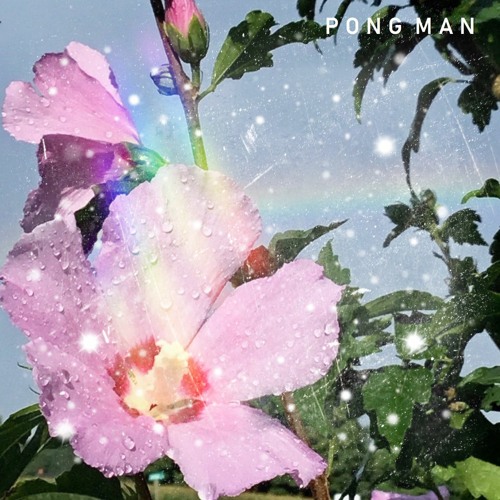 Rainbows