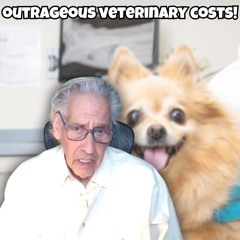 The Pet Show 092824