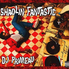 SHAOLIN FANTASTIC