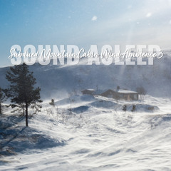 Subdued Mountain Cabin Wind Ambience, Pt. 9