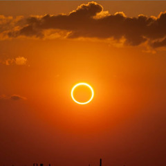 Arcs - This fine day.