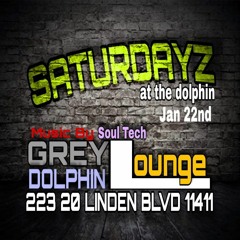 JAN 22 GREY DOLPHIN
