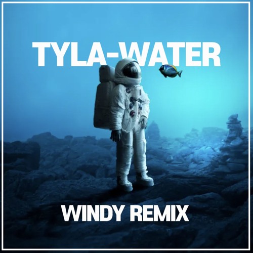 Tyla,Marshmello - Water (Windy Remix)