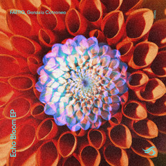 PREMIERE: FAERO, Gonzalo Cotroneo ─ Echo Bloom (Original Mix) [Transensations Records]