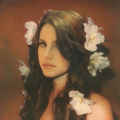 every man gets his wish - Lana Del Rey