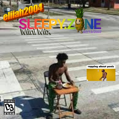 eliiah2004 sleepy.zone mini mix 7/13/2022