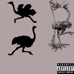 Ostritch (freestyle) @AbeGotBeatz