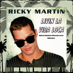 LIVIN LA VIDA LOCA (remix)