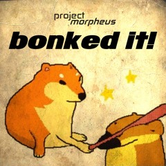 BONKED IT!
