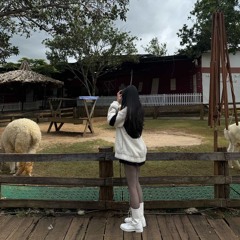 Vì Một Chữ Tình (BuiThanh Remix)-Thái Học ♫