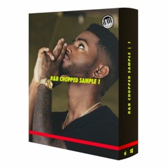 R&B 90'S CHOPPED SAMPLE PACK - DEMO
