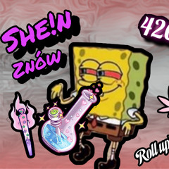 She!n- znów (pord.sned)
