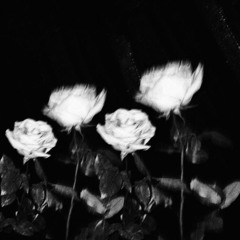 Roses [Lil Baby type beat] D#min