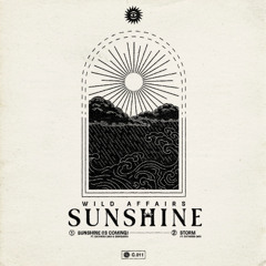 Sunshine (Is Coming)