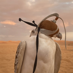 مشعل الحبيني🪶