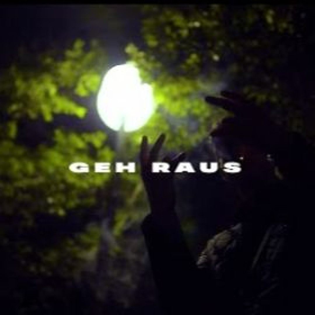 Stream Pashanim X Lucio101 - Geh Raus by Dominik | Listen online for ...