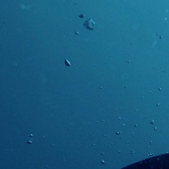 LIQUID METAL (10-12-2023)