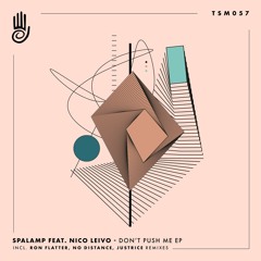 PREMIERE: Spalamp Feat. Nico Leivo - Don't Push Me (No Distance Remix) [Truesounds Music]