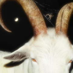 NO MANNERS-[Bigguccibono & Saigeisntdead]