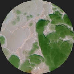 rapt​AGOG - Subducting // Inscribing (ST095)