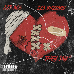 223 Ace Ft. 223 Blizzard - They Say