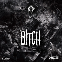 Nice - B!tch  Original Mix Preview