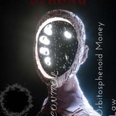 PJ Strong - Orbitosphenoid Money