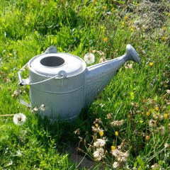 💧water pot💧