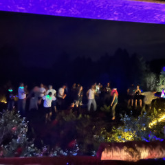 Mystical Forest Set [Progressive/Fullon]