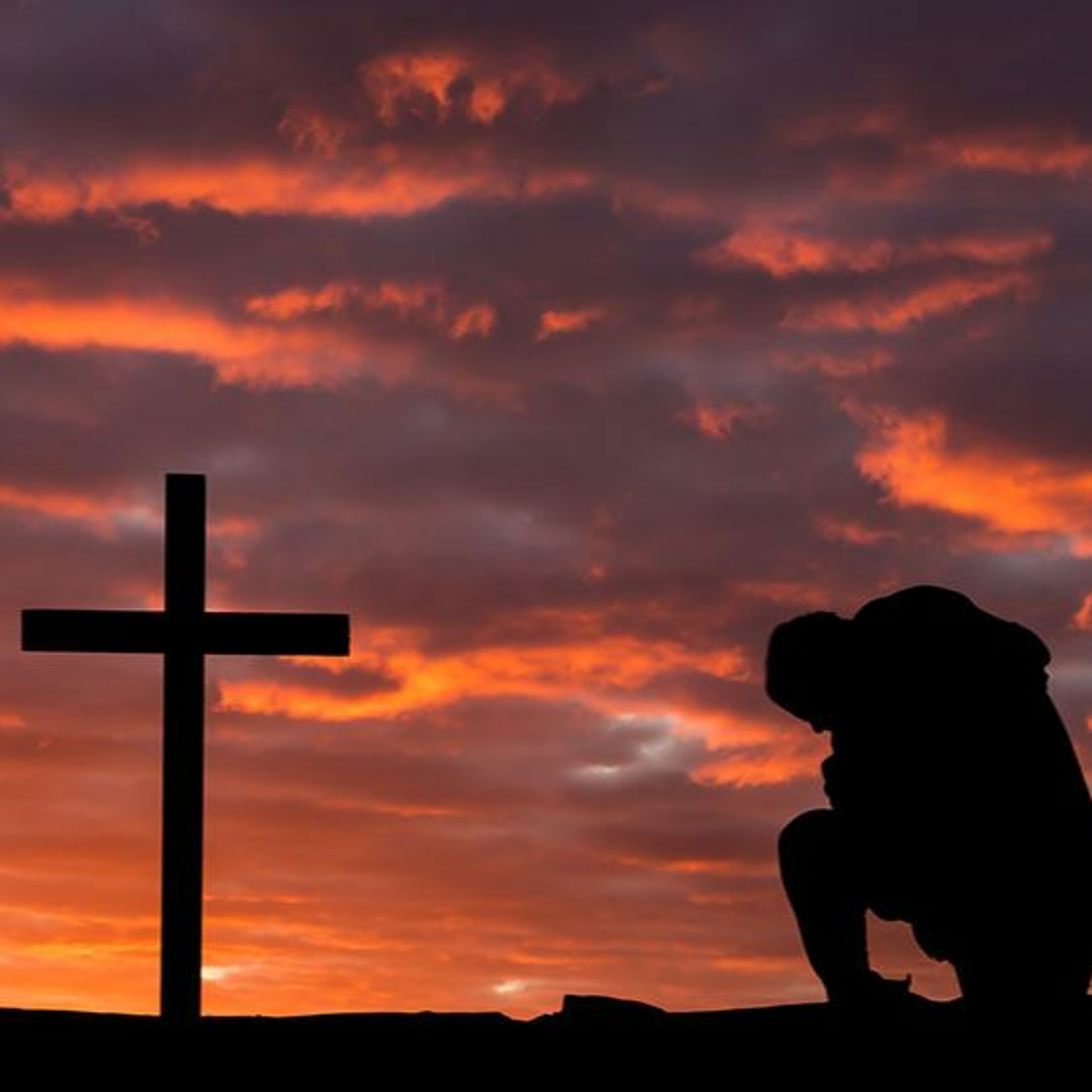 The Path of True Discipleship