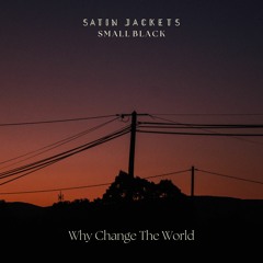 Why Change The World