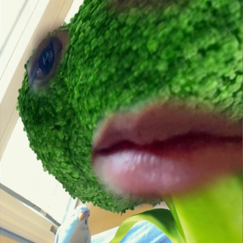 stop scrolling, this is what youve been looking for