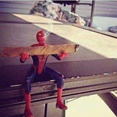 DIGGA DA HIGHSMAN-BURN-PRODUCED BY STEAMROLLA