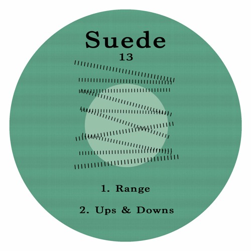 Unknown Artist - Ups & Downs [Suede 13]