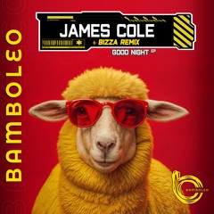 James Cole - Good Night (BizZa Remix)
