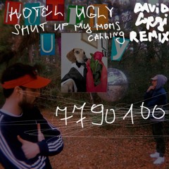 Hotel Ugly - Shut up My Moms Calling (David Corgi Remix)