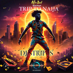 TRIP TO NAIJA